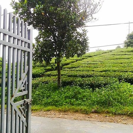 Homestay Moc Chau Zewnętrze zdjęcie
