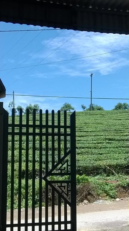 Homestay Moc Chau Zewnętrze zdjęcie
