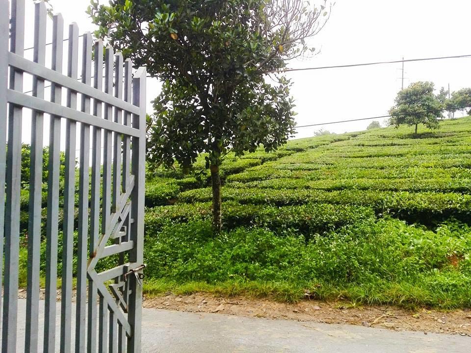 Homestay Moc Chau Zewnętrze zdjęcie