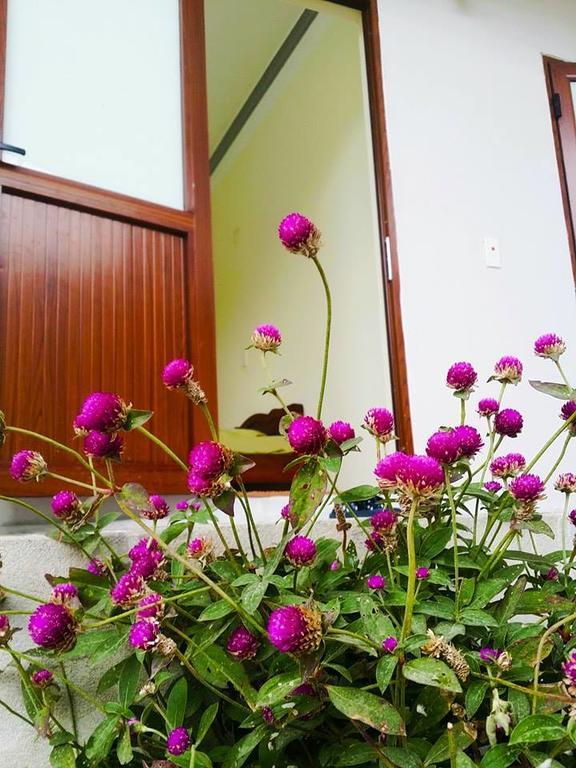 Homestay Moc Chau Zewnętrze zdjęcie