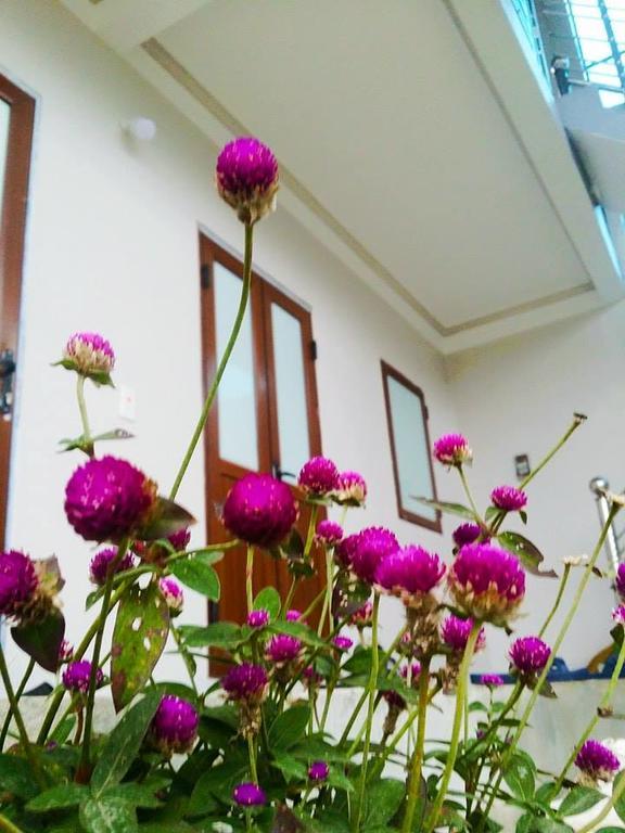 Homestay Moc Chau Zewnętrze zdjęcie