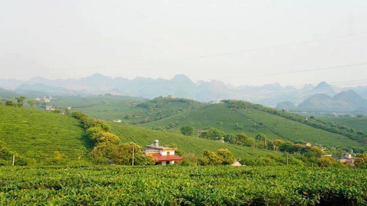 Homestay Moc Chau Zewnętrze zdjęcie
